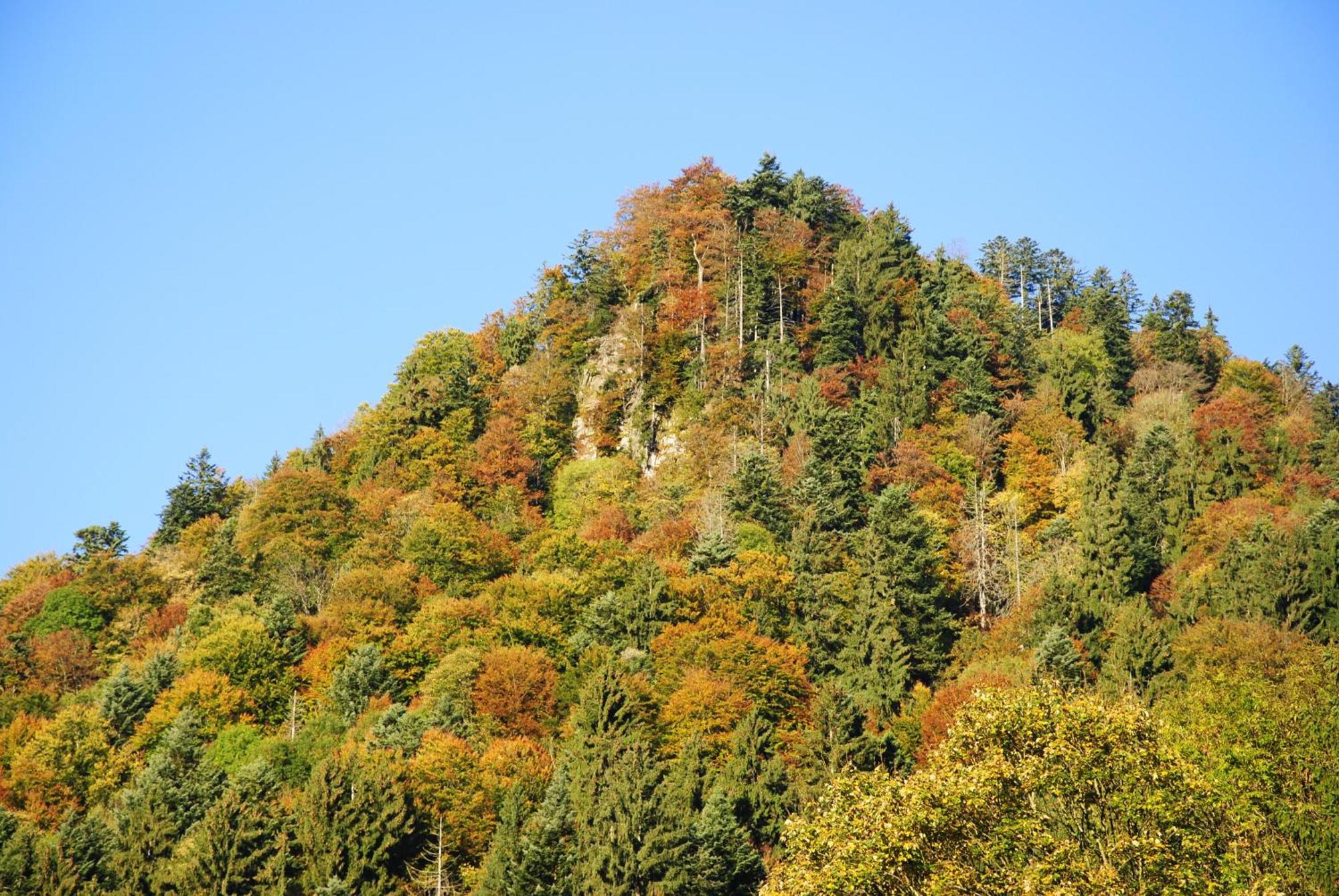 Gaestehaus Schroeder Ruhpolding Εξωτερικό φωτογραφία